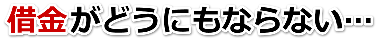 不安で寝られない。借金が返せない。袖ヶ浦市で無料相談を弁護士や司法書士にして借金返済
